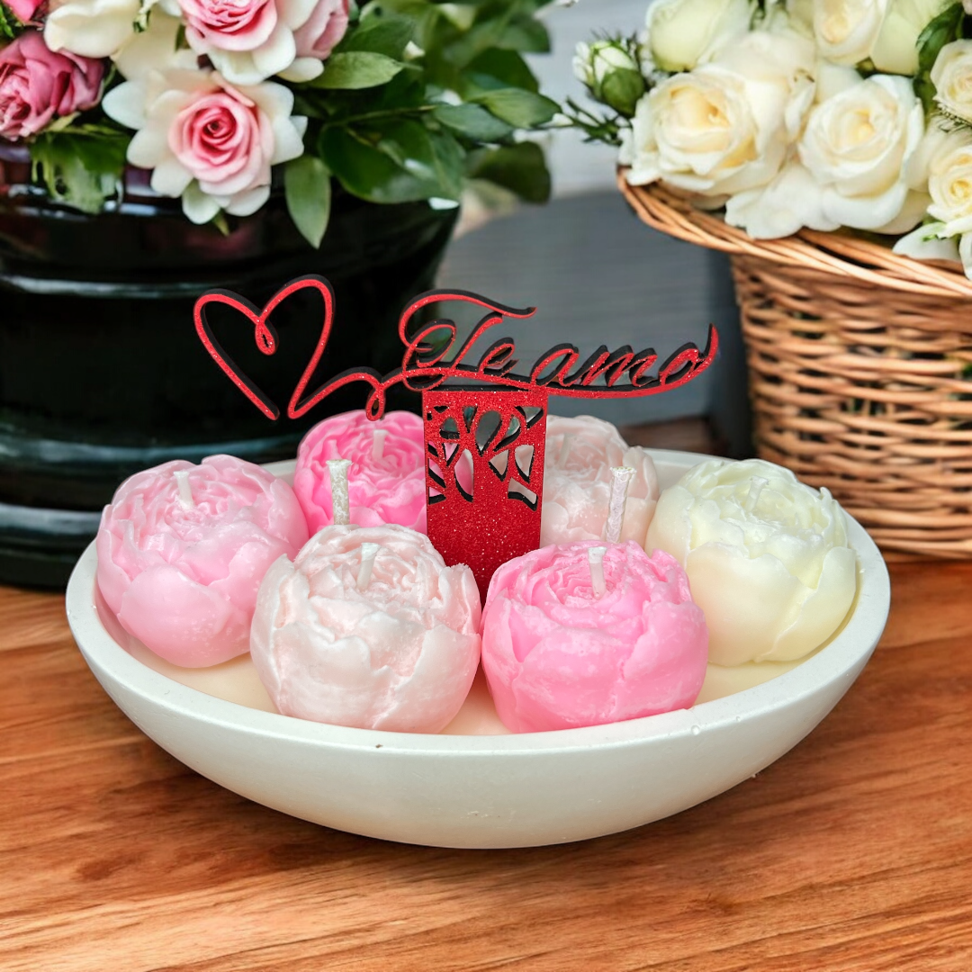 Colección 14 de febrero!