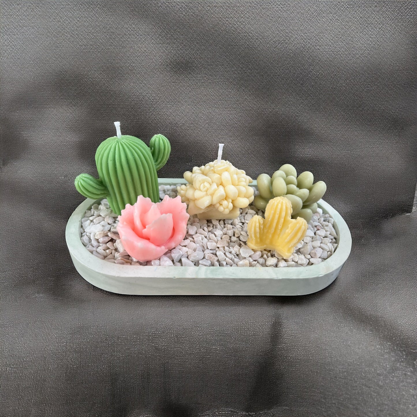 Terrario